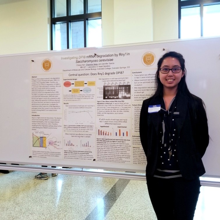 research 6